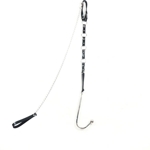 Hook Leash with and 5853 Collar Kinky Anal EverydayUse 0714